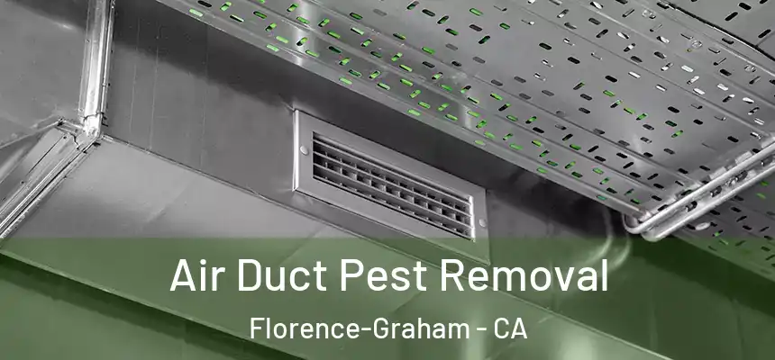 Air Duct Pest Removal Florence-Graham - CA