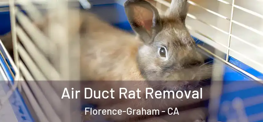 Air Duct Rat Removal Florence-Graham - CA