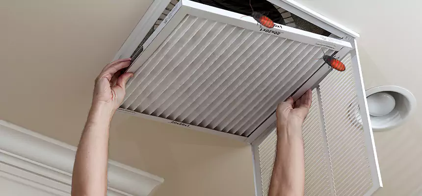 Preventive Cockroach-Proofing for Ducts in Florence-Graham