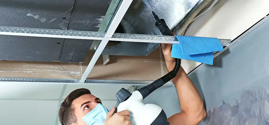 Our Air Duct Rodent Removal Services in Florence-Graham, CA