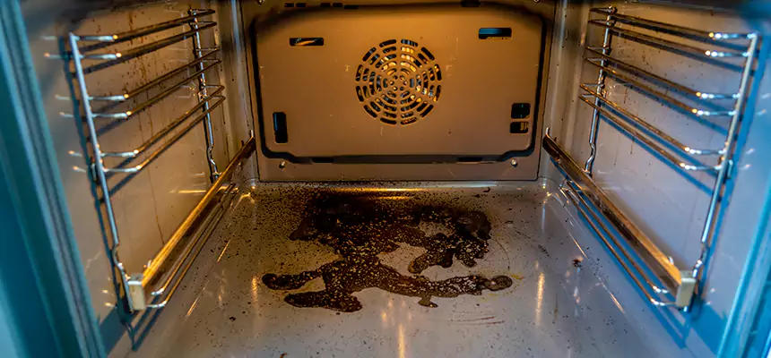 Our Dryer Vent Mold Cleaning Services in Florence-Graham, CA