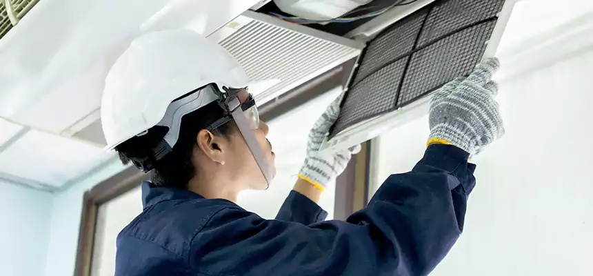 Our Mold & Mildew Removal from Air Ducts Services in Florence-Graham, CA