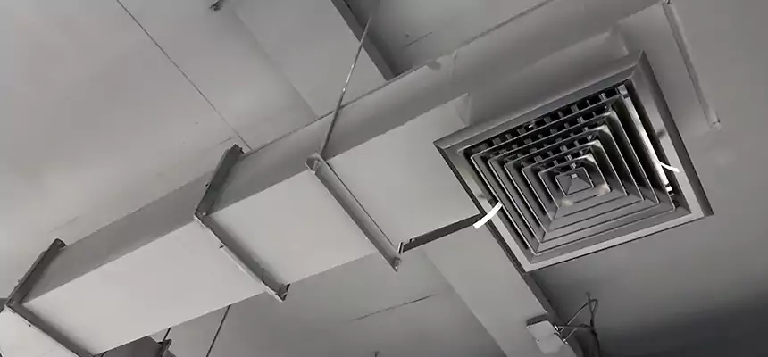 Our Rodent Droppings In Vents Services in Florence-Graham, CA