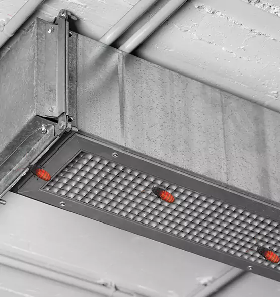About Air Duct Cockroach Removal in Florence-Graham, CA