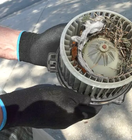 About Air Duct Rat Removal in Florence-Graham, CA