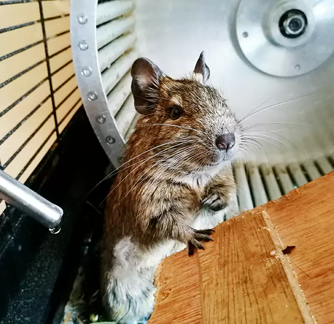 Why Homeowners & Businesses Trust Us Florence-Graham, CA